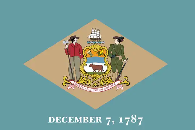 Telehealth weight management program in Delaware